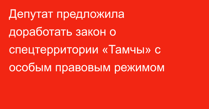 Депутат предложила доработать закон о спецтерритории «Тамчы» с особым правовым режимом