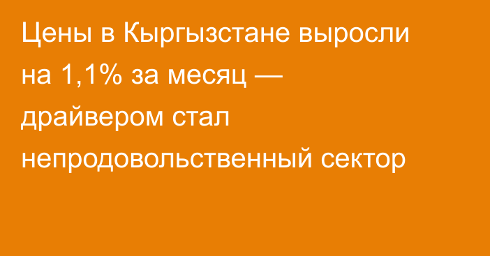 Цены в Кыргызстане выросли на 1,1% за месяц — драйвером стал непродовольственный сектор
