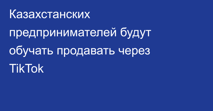 Казахстанских предпринимателей будут обучать продавать через TikTok