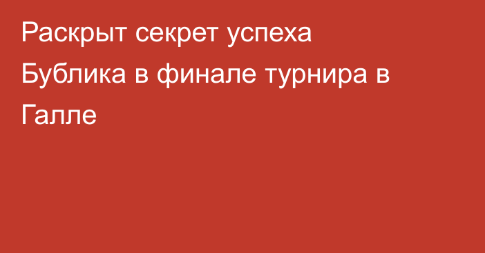Раскрыт секрет успеха Бублика в финале турнира в Галле