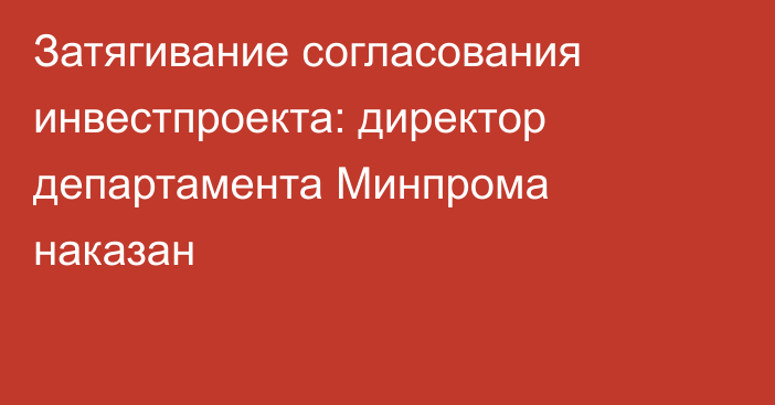 Затягивание согласования инвестпроекта: директор департамента Минпрома наказан