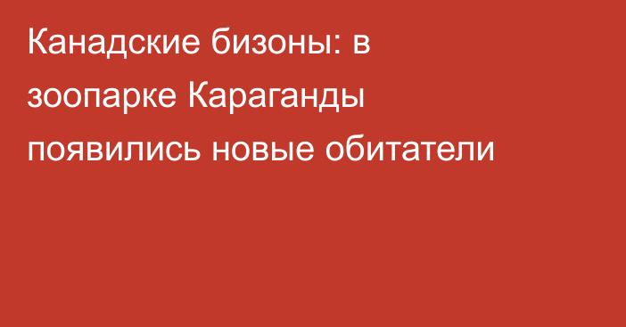 Канадские бизоны: в зоопарке Караганды появились новые обитатели