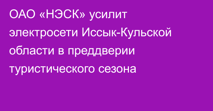 ОАО «НЭСК» усилит электросети Иссык-Кульской области в преддверии туристического сезона