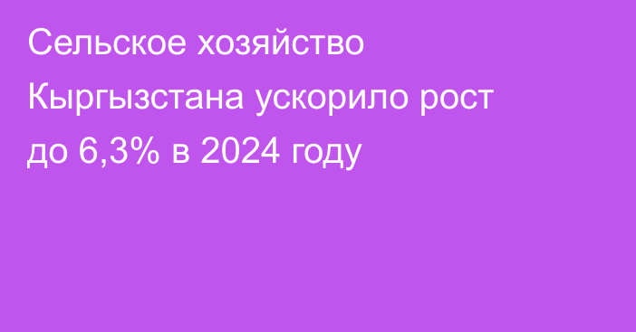 Сельское хозяйство Кыргызстана ускорило рост до 6,3% в 2024 году