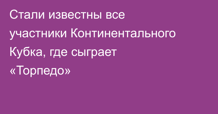 Стали известны все участники Континентального Кубка, где сыграет «Торпедо»