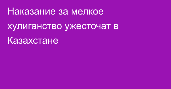 Наказание за мелкое хулиганство ужесточат в Казахстане