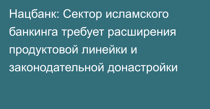 Нацбанк: Сектор исламского банкинга требует расширения продуктовой линейки и законодательной донастройки