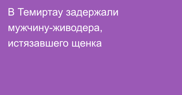 В Темиртау задержали мужчину-живодера, истязавшего щенка