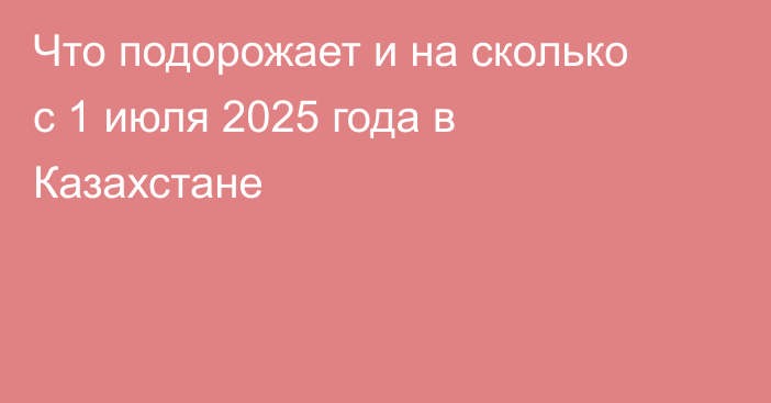 Что подорожает и на сколько с 1 июля 2025 года в Казахстане