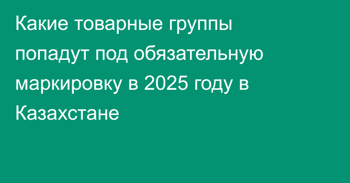Какие товарные группы попадут под обязательную маркировку в 2025 году в Казахстане
