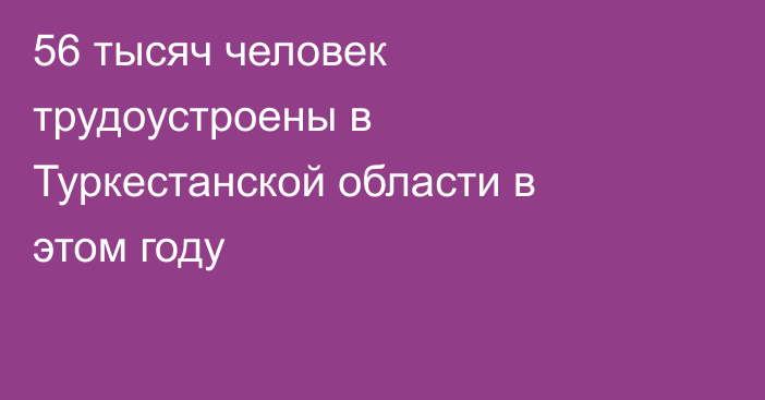 56 тысяч человек трудоустроены в Туркестанской области в этом году