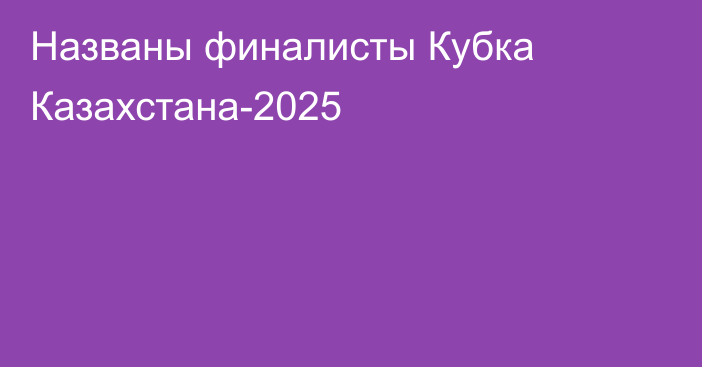 Названы финалисты Кубка Казахстана-2025