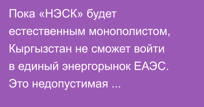 Пока «НЭСК» будет естественным монополистом, Кыргызстан не сможет войти в единый энергорынок ЕАЭС. Это недопустимая конструкция, - эксперт