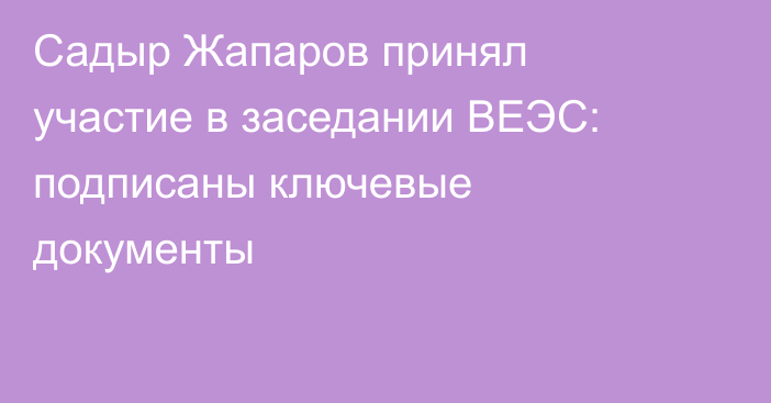Садыр Жапаров принял участие в заседании ВЕЭС: подписаны ключевые документы