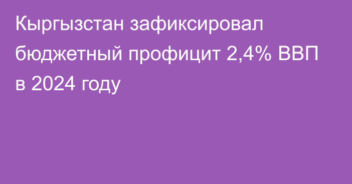 Кыргызстан зафиксировал бюджетный профицит 2,4% ВВП в 2024 году