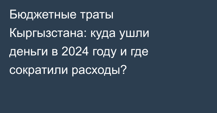 Бюджетные траты Кыргызстана: куда ушли деньги в 2024 году и где сократили расходы?