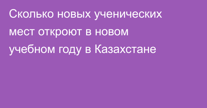 Сколько новых ученических мест откроют в новом учебном году в Казахстане