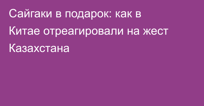 Сайгаки в подарок: как в Китае отреагировали на жест Казахстана