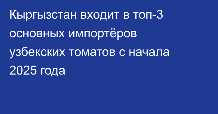 Кыргызстан входит в топ-3 основных импортёров узбекских томатов с начала 2025 года