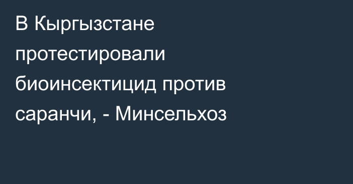 В Кыргызстане протестировали биоинсектицид против саранчи, - Минсельхоз