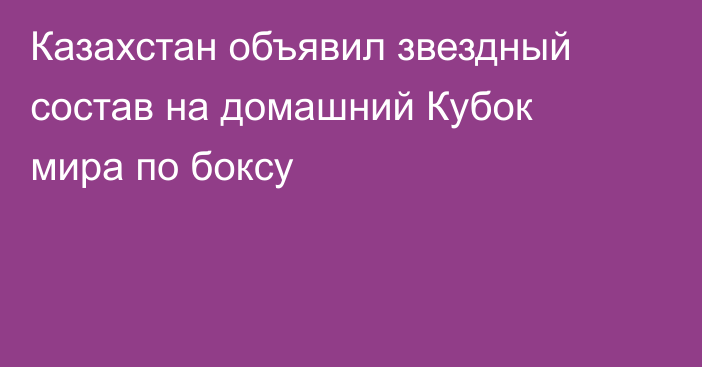 Казахстан объявил звездный состав на домашний Кубок мира по боксу