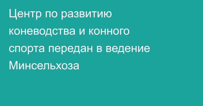 Центр по развитию коневодства и конного спорта передан в ведение Минсельхоза