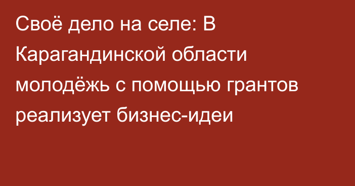 Своё дело на селе: В Карагандинской области молодёжь с помощью грантов реализует бизнес-идеи