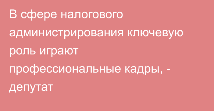 В сфере налогового администрирования ключевую роль играют профессиональные кадры, - депутат