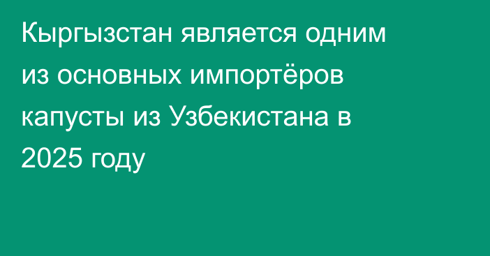 Кыргызстан является одним из основных импортёров капусты из Узбекистана в 2025 году