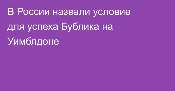 В России назвали условие для успеха Бублика на Уимблдоне