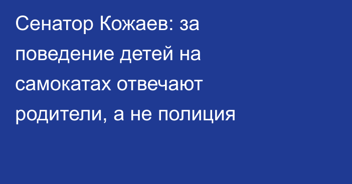 Сенатор Кожаев: за поведение детей на самокатах отвечают родители, а не полиция