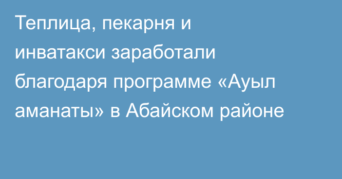 Теплица, пекарня и инватакси заработали благодаря программе «Ауыл аманаты» в Абайском районе