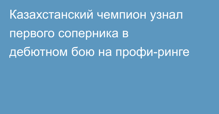 Казахстанский чемпион узнал первого соперника в дебютном бою на профи-ринге