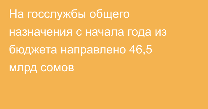 На госслужбы общего назначения с начала года из бюджета направлено 46,5 млрд сомов