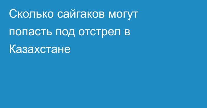 Сколько сайгаков могут попасть под отстрел в Казахстане