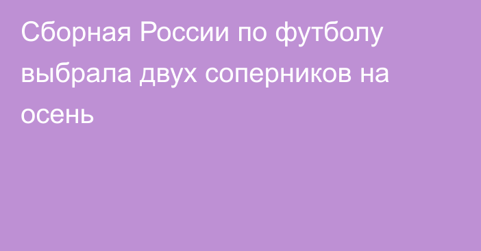 Сборная России по футболу выбрала двух соперников на осень