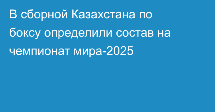 В сборной Казахстана по боксу определили состав на чемпионат мира-2025