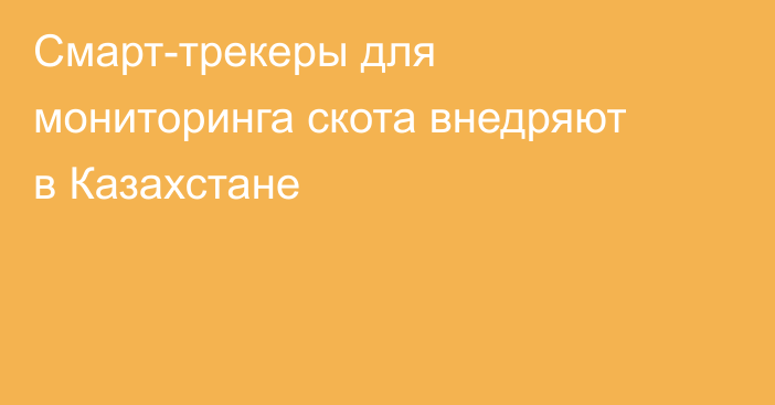 Смарт-трекеры для мониторинга скота внедряют в Казахстане