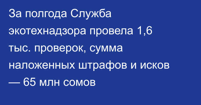 За полгода Служба экотехнадзора провела 1,6 тыс. проверок, сумма наложенных штрафов и исков — 65 млн сомов