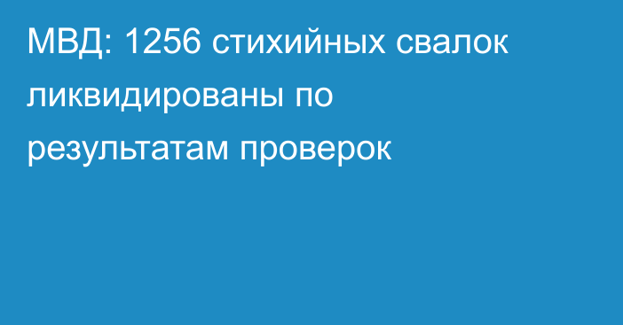 МВД: 1256 стихийных свалок ликвидированы по результатам проверок
