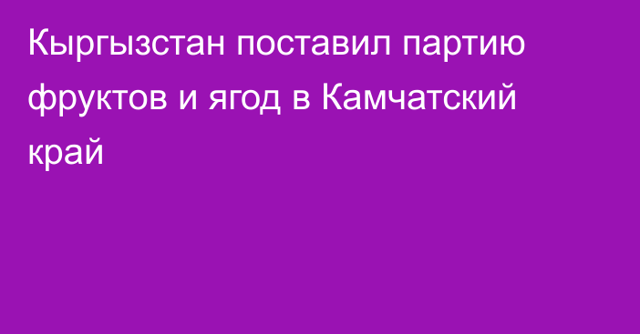 Кыргызстан поставил партию фруктов и ягод в Камчатский край