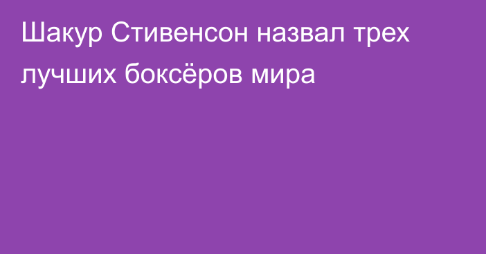 Шакур Стивенсон назвал трех лучших боксёров мира