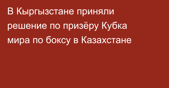 В Кыргызстане приняли решение по призёру Кубка мира по боксу в Казахстане