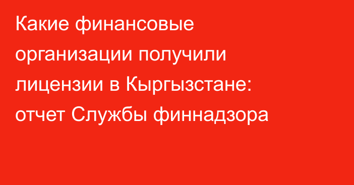 Какие финансовые организации получили лицензии в Кыргызстане: отчет Службы финнадзора