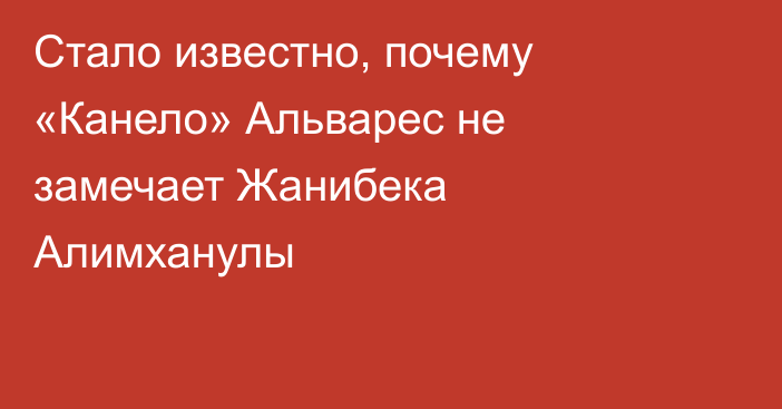 Стало известно, почему «Канело» Альварес не замечает Жанибека Алимханулы