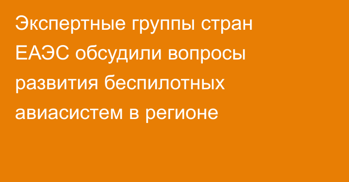 Экспертные группы стран ЕАЭС обсудили вопросы развития беспилотных авиасистем в регионе