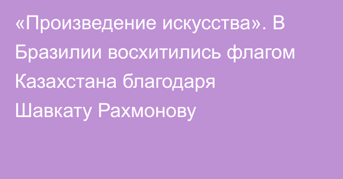 «Произведение искусства». В Бразилии восхитились флагом Казахстана благодаря Шавкату Рахмонову