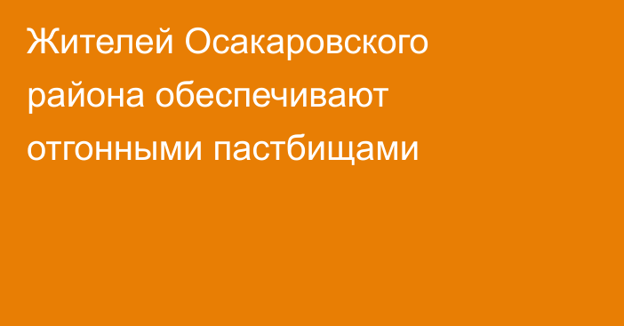 Жителей Осакаровского района обеспечивают отгонными пастбищами