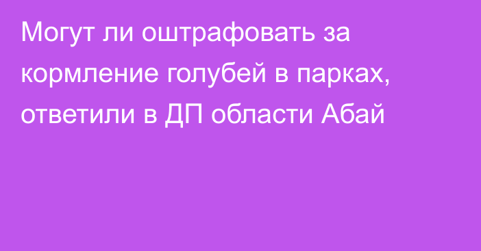 Могут ли оштрафовать за кормление голубей в парках, ответили в ДП области Абай