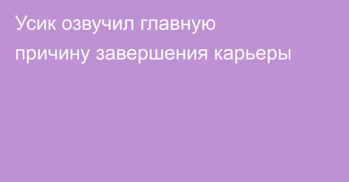 Усик озвучил главную причину завершения карьеры